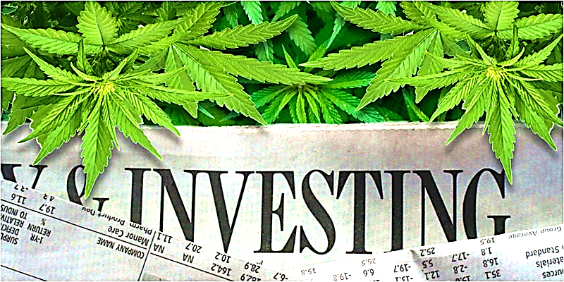 Medical Cannabis